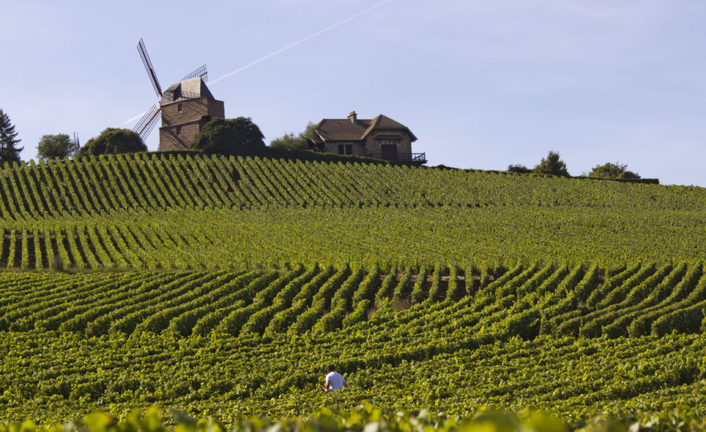 Reims Champagne Run Campus Article Moulin De Verzenay C Carmen Moya Office De Tourisme Du Grand Reims 2